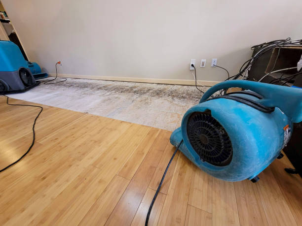 Reliable Basement Flood Cleanup contractor in Loretto, MN by Hirex Water Damage